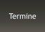 Termine